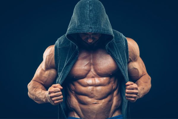 O ciclo de construção de massa muscular