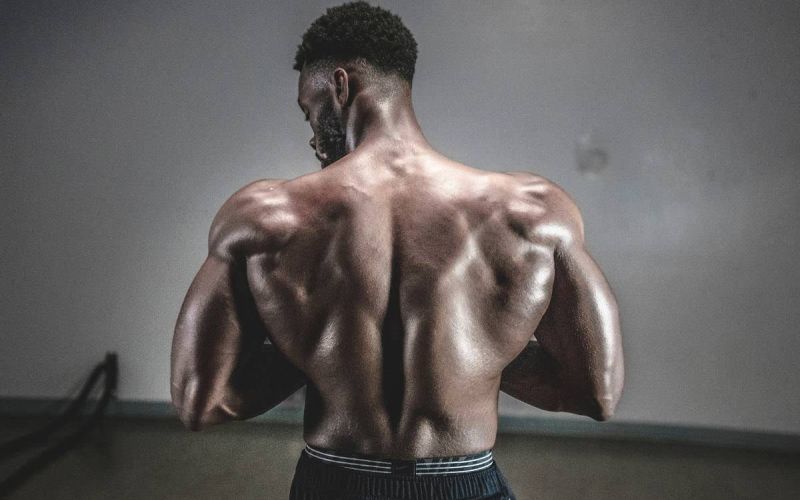 10 factores que contribuiem para o crescimento da massa muscular