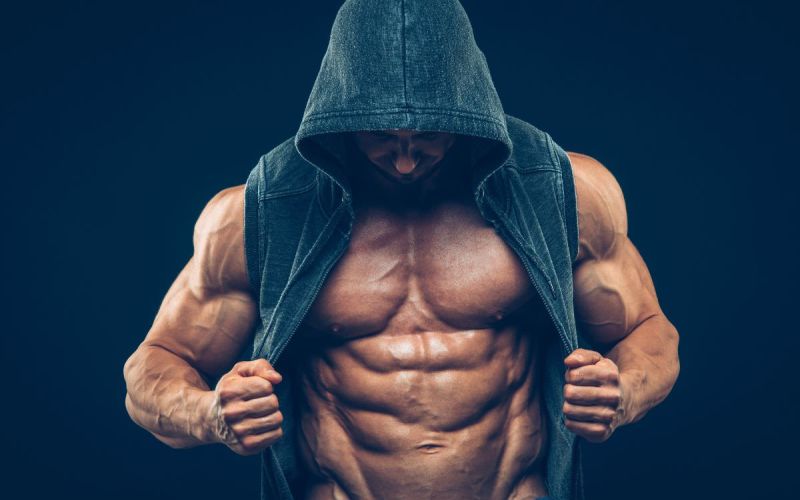 O ciclo de construção de massa muscular